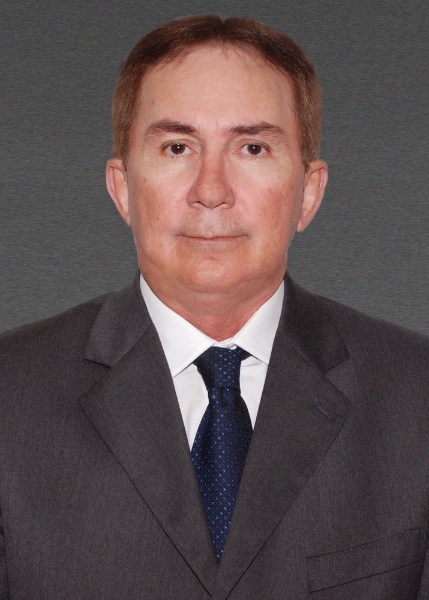 Des. Luiz Silvio  Ramalho Júnior