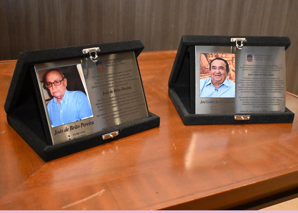 Foto dos homenageados 