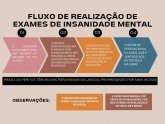 FLUXO DE REALIZAÇÃO DE EXAMES DE INSANIDADE MENTAL