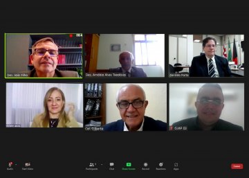 Captura de tela da reunião da Comissão de Segurança 