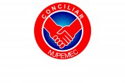 Logo da Conciliação do Nupemec 